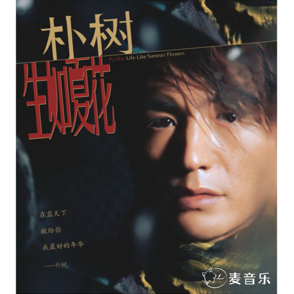朴树:再没什么能让我下跪,我们笑着灰飞烟灭