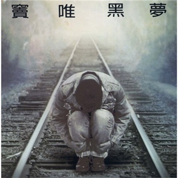 高级动物 – 窦唯