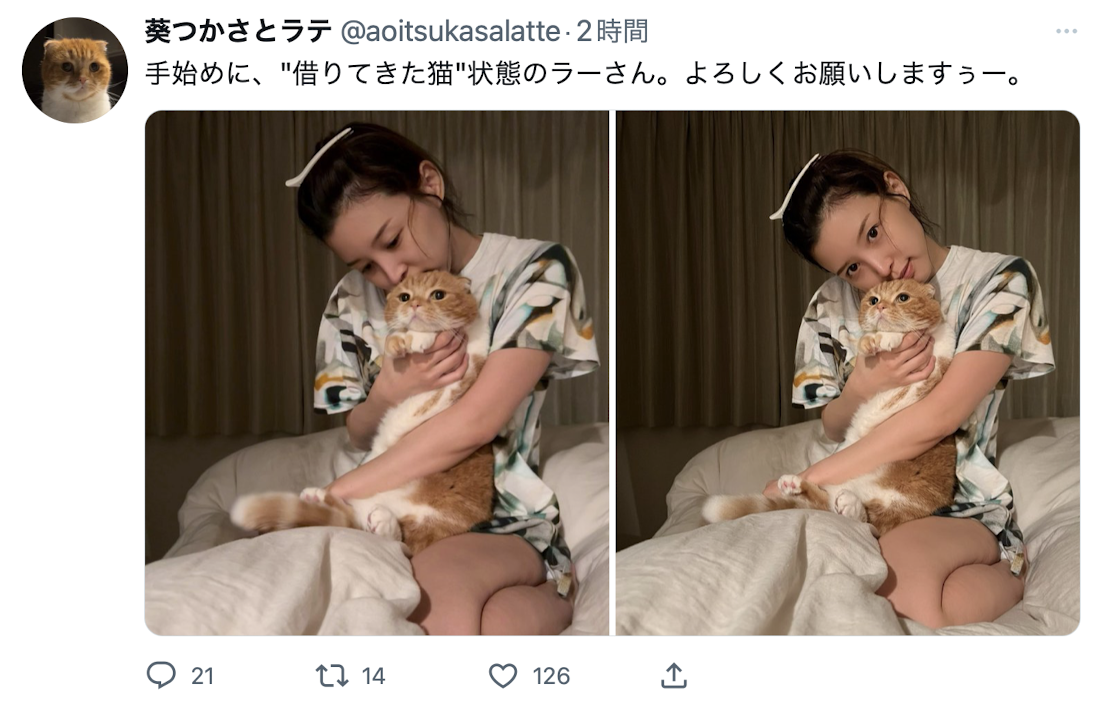 2个月限定!葵つかさ(葵司)社交帐号复活!