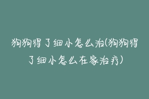 狗狗得了细小怎么治(狗狗得了细小怎么在家治疗)