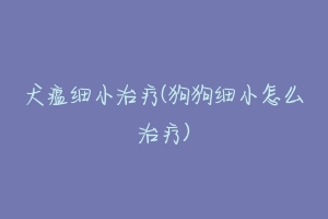 犬瘟细小治疗(狗狗细小怎么治疗)