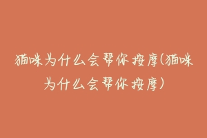 猫咪为什么会帮你按摩(猫咪为什么会帮你按摩)