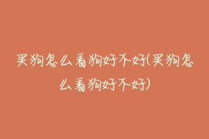 买狗怎么看狗好不好(买狗怎么看狗好不好)