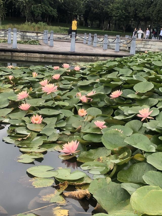 男朋友失去了一个亲人,我想唱首歌安慰他,该唱什么歌好呢?