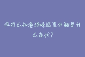 谁特么知道猫咪眼皮外翻是什么症状?