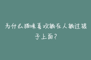 为什么猫咪喜欢躺在人躺过被子上面?