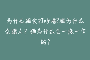 为什么猫会打呼噜?猫为什么会蹭人?猫为什么会一惊一乍的?
