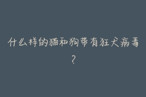 什么样的猫和狗带有狂犬病毒?
