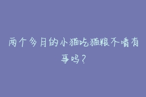 两个多月的小猫吃猫粮不嚼有事吗?