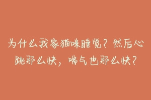 为什么我家猫咪睡觉？然后心跳那么快，喘气也那么快？