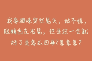 我家猫咪突然晃头，站不稳，眼睛也左右晃，但是过一会就好了是怎么回事?急急急？