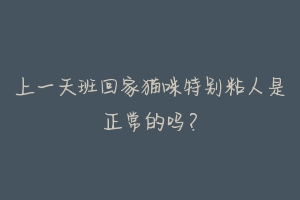 上一天班回家猫咪特别粘人是正常的吗?