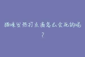 猫咪发热打点滴怎么会死的呢?