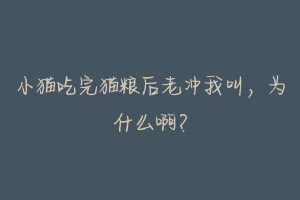 小猫吃完猫粮后老冲我叫,为什么啊?