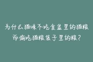为什么猫咪不吃食盆里的猫粮而偷吃猫粮袋子里的粮？