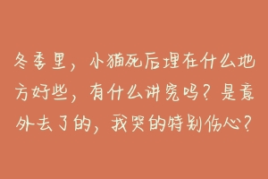 冬季里,小猫死后埋在什么地方好些,有什么讲究吗?是意外去了的,我哭的特别伤心?