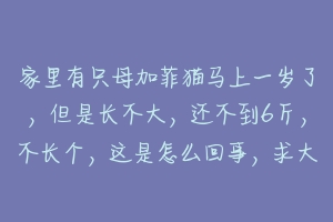 家里有只母加菲猫马上一岁了，但是长不大，还不到6斤，不长个，这是怎么回事，求大神告知？