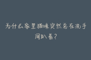 为什么家里猫咪突然总在洗手间趴着?