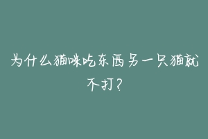 为什么猫咪吃东西另一只猫就不打?