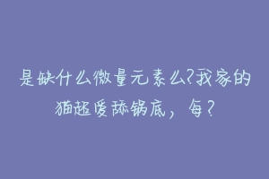 是缺什么微量元素么?我家的猫超爱舔锅底，每？