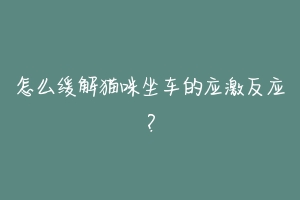 怎么缓解猫咪坐车的应激反应?