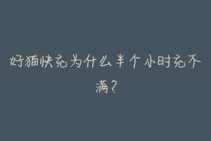 好猫快充为什么半个小时充不满?
