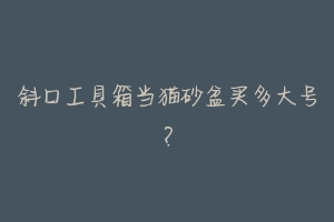 斜口工具箱当猫砂盆买多大号？