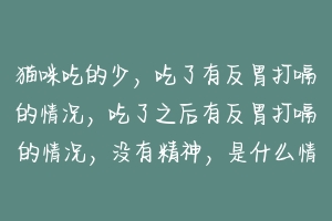 猫咪吃的少，吃了有反胃打嗝的情况，吃了之后有反胃打嗝的情况，没有精神，是什么情况？
