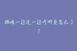 猫咪一边走一边哼唧是怎么了?