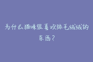 为什么猫咪很喜欢舔毛绒绒的东西?