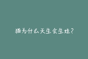 猫为什么天生会生娃?
