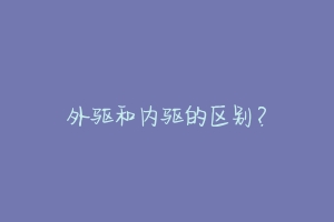 外驱和内驱的区别?