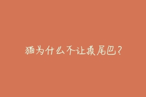 猫为什么不让摸尾巴？