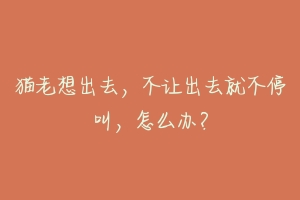 猫老想出去,不让出去就不停叫,怎么办?