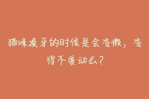 猫咪换牙的时候是会变懒,变得不爱动么?