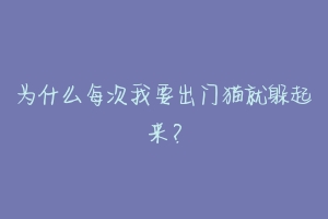 为什么每次我要出门猫就躲起来?