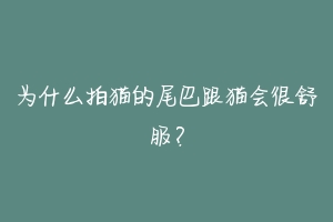 为什么拍猫的尾巴跟猫会很舒服?