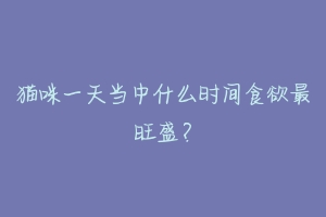猫咪一天当中什么时间食欲最旺盛?
