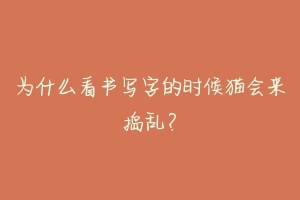 为什么看书写字的时候猫会来捣乱?