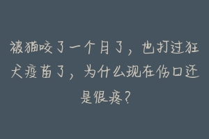 被猫咬了一个月了，也打过狂犬疫苗了，为什么现在伤口还是很疼？