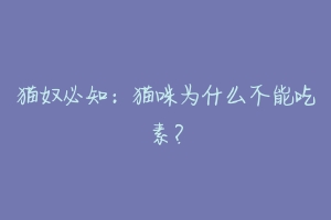 猫奴必知：猫咪为什么不能吃素？