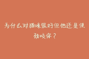 为什么对猫咪很好但他还是使劲咬你?