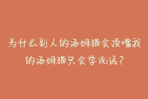 为什么别人的汤姆猫会顶嘴我的汤姆猫只会学说话？
