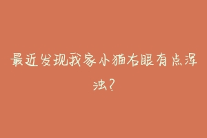 最近发现我家小猫右眼有点浑浊?