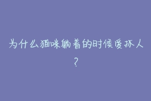 为什么猫咪躺着的时候爱抓人?