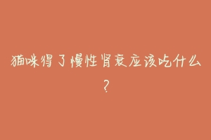 猫咪得了慢性肾衰应该吃什么?