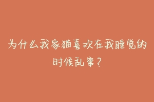 为什么我家猫喜欢在我睡觉的时候乱窜?