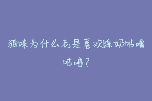 猫咪为什么老是喜欢踩奶咕噜咕噜?