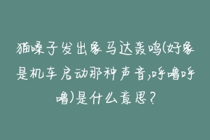 猫嗓子发出象马达轰鸣(好象是机车启动那种声音,呼噜呼噜)是什么意思?