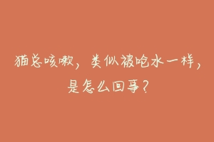 猫总咳嗽,类似被呛水一样,是怎么回事?